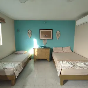 Bonita Apartamento